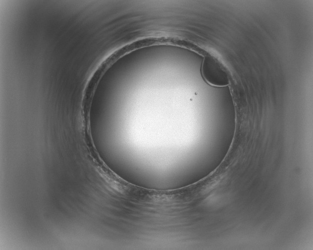 X0000071900927200607212012