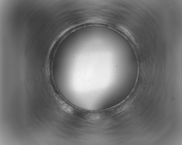 X0000071900931200607212012