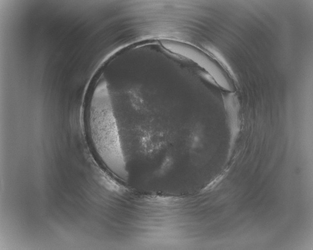 X0000071900932200607212012