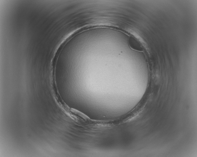 X0000071900933200607212012