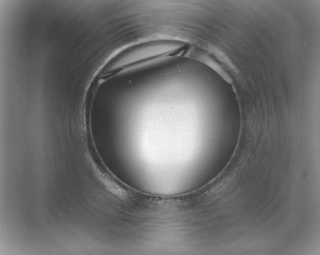 X0000071900934200607212012