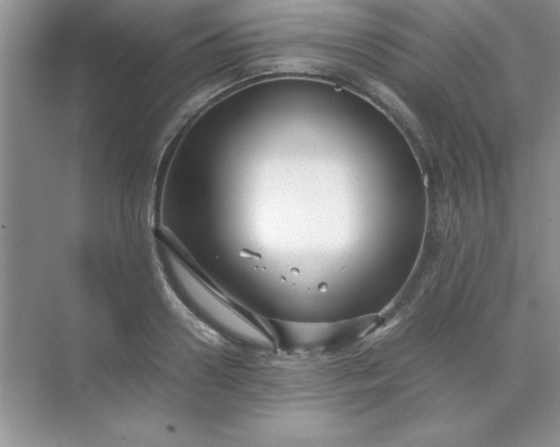 X0000071900938200607212013