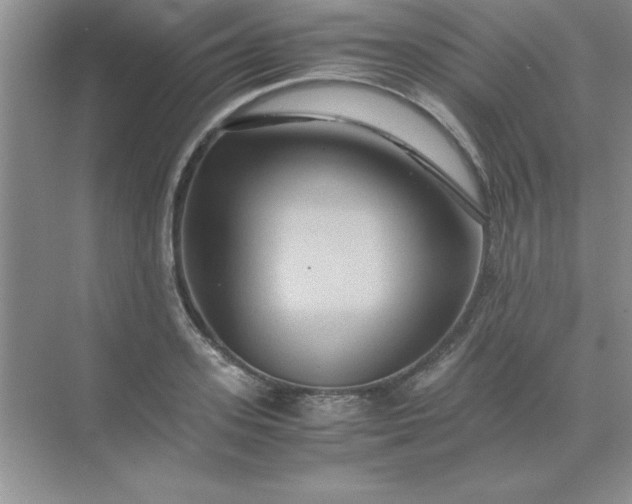 X0000071900939200607212013