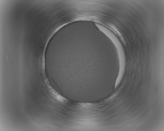 X0000071900940200607212013