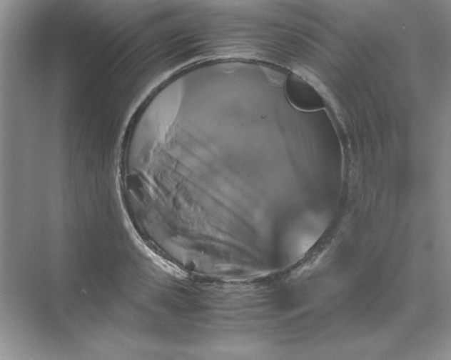 X0000071900941200607212013