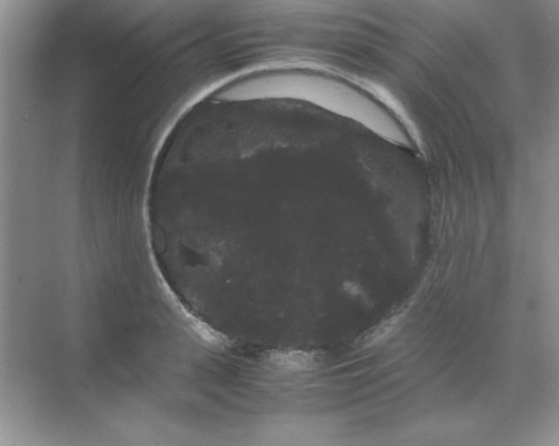 X0000071900943200607212013