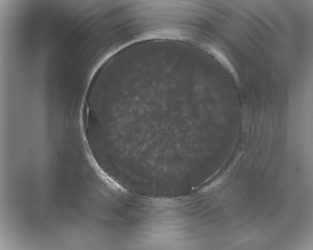 X0000071900944200607212013