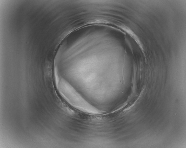 X0000071900945200607212013