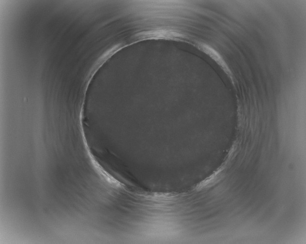 X0000071900946200607212013