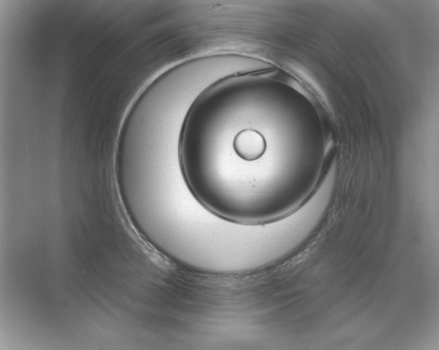 X0000071900948200607212013