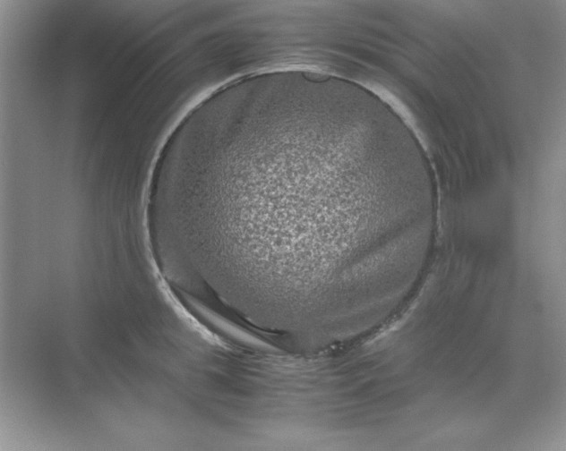 X0000071900949200607212013