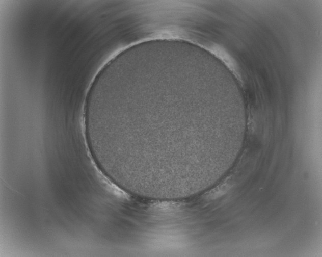 X0000071900950200607212013