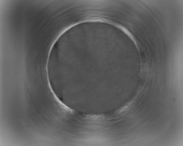 X0000071900951200607212013