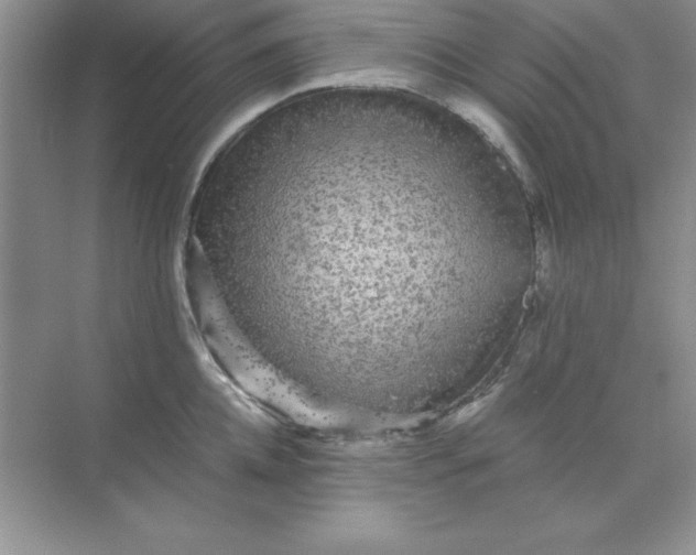 X0000071900952200607212013