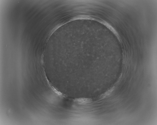 X0000071900953200607212013