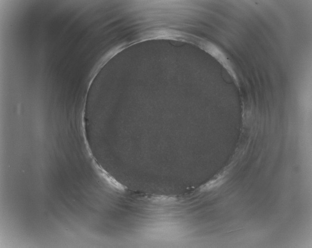 X0000071900954200607212013