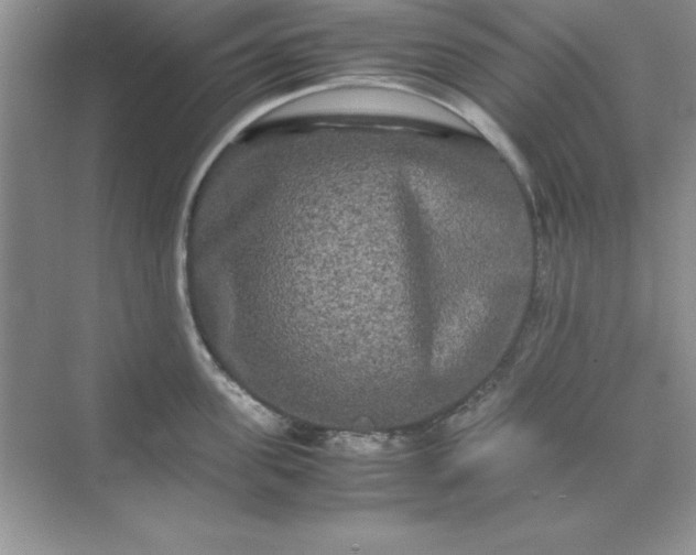 X0000071900955200607212013