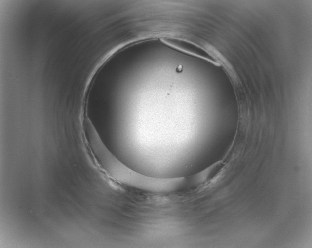 X0000071900956200607212013