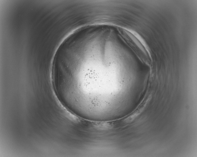 X0000071900957200607212013