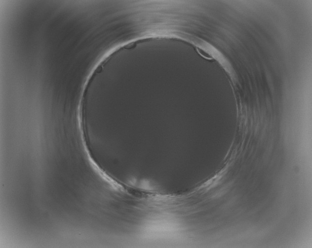 X0000071900958200607212013