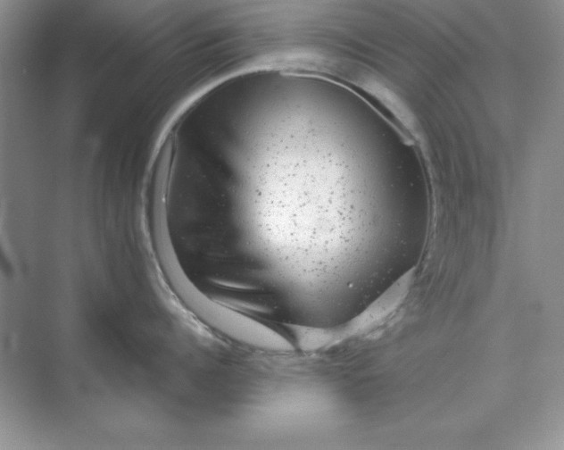 X0000071900960200607212013