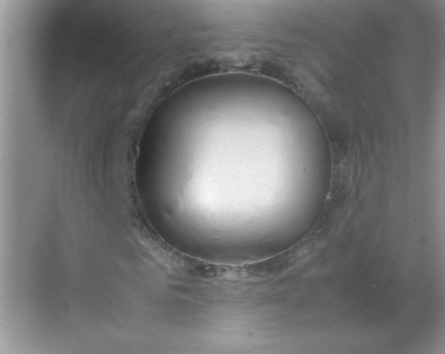 X0000071900961200607212012