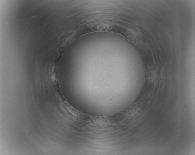 X0000071900962200607212012