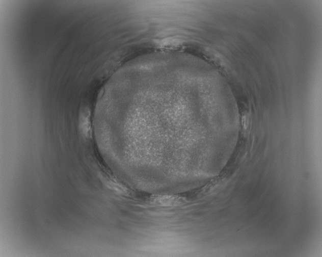 X0000071900963200607212012