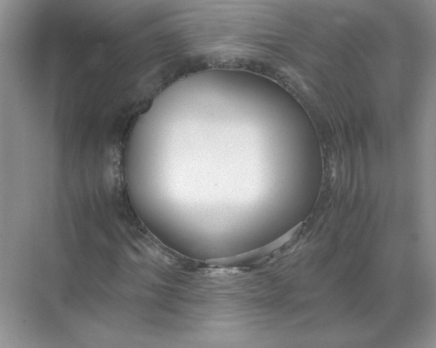 X0000071900964200607212012