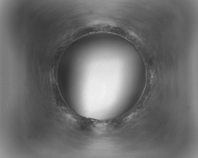 X0000071900965200607212012