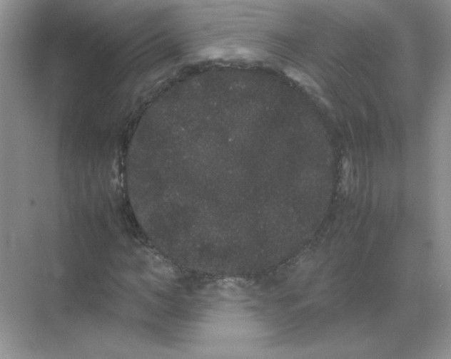 X0000071900966200607212012