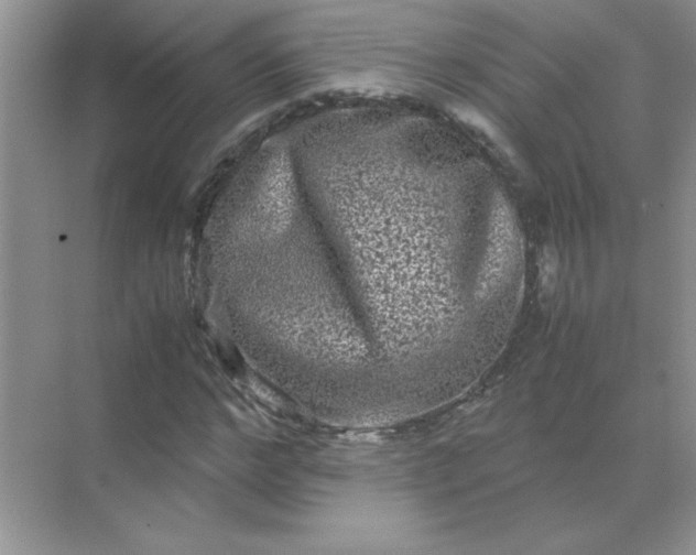 X0000071900968200607212012