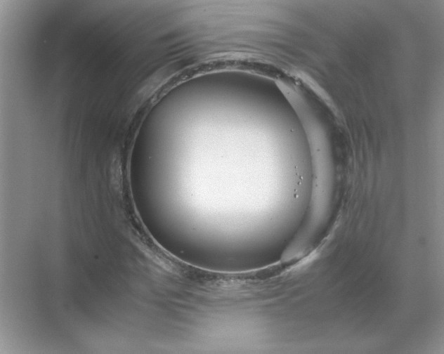 X0000071900969200607212012