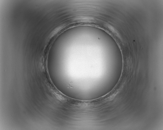 X0000071900970200607212012