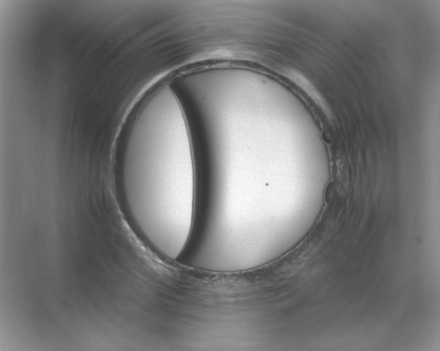 X0000071900972200607212012