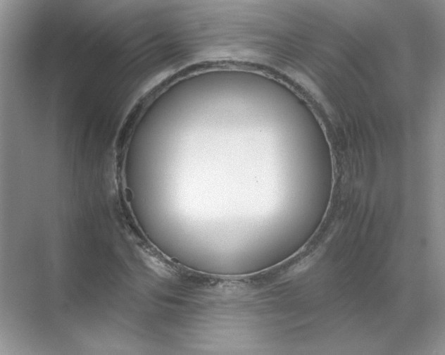 X0000071900974200607212012