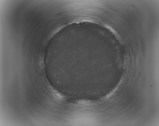 X0000071900977200607212012