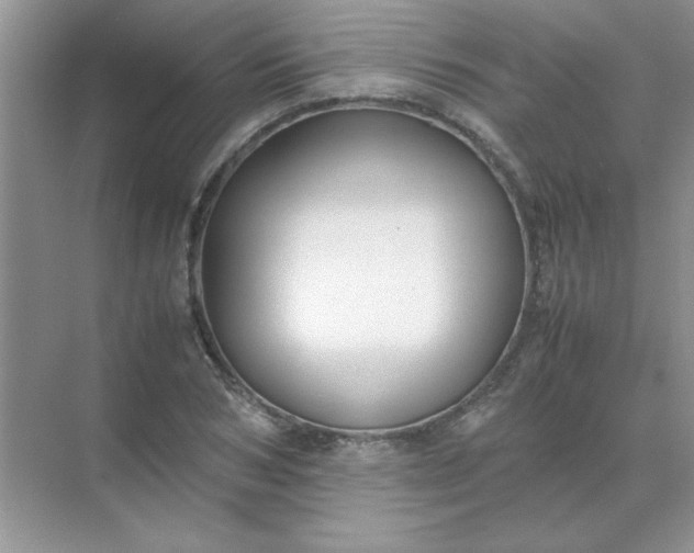 X0000071900978200607212012