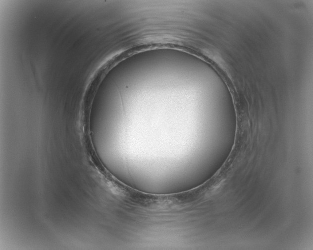 X0000071900979200607212012