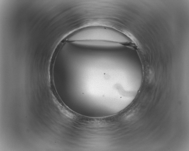 X0000071900980200607212012