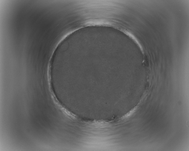 X0000071900983200607212012