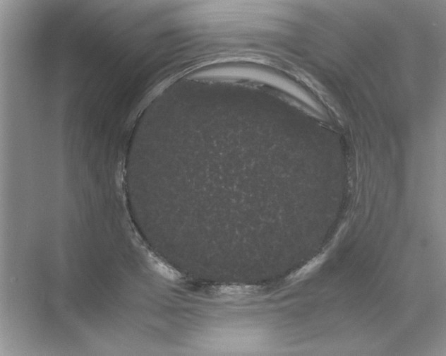 X0000071900985200607212012