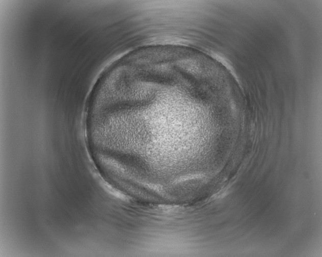 X0000071900987200607212012