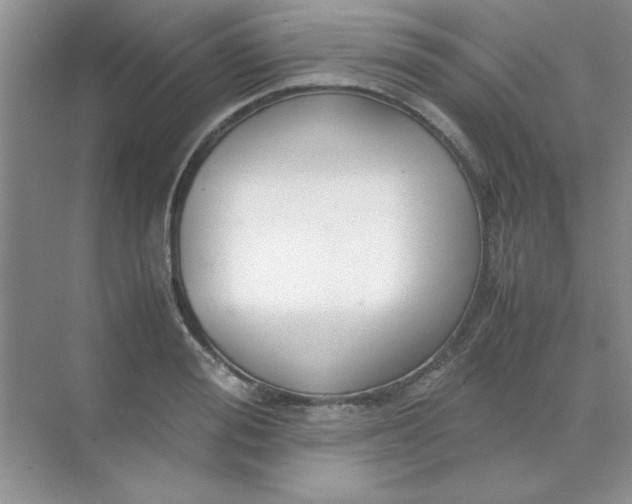 X0000071900988200607212012