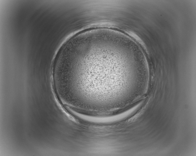 X0000071900989200607212012