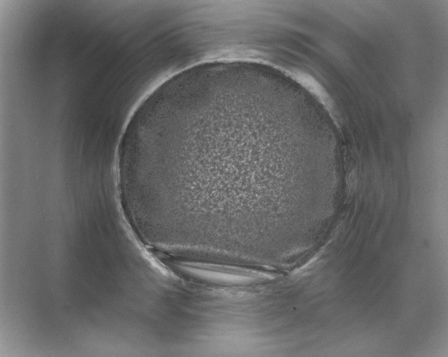 X0000071900990200607212012