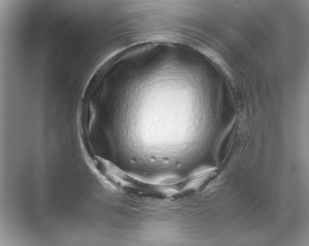 X0000071900991200607212012