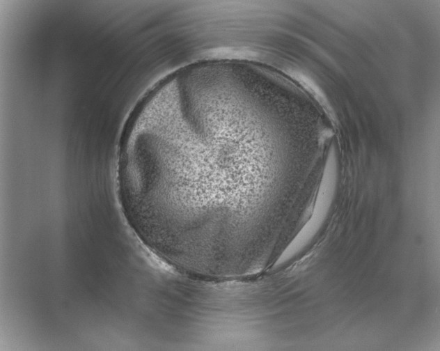 X0000071900992200607212012