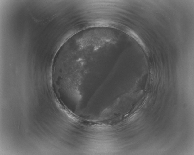 X0000071900994200607212012