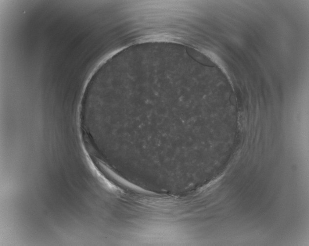 X0000071900995200607212012